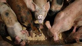 Groups sue EPA in an effort to strengthen oversight of livestock operations