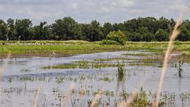 NRCS invests in partnership to restore wetlands in southern Indiana