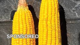 2022 Yield Profit Challenge Field Trials Show Increase of 60 bu./acre for Corn
