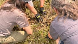 Connecting vets to farms: Nonprofit helps next generation of veterans