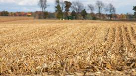 Crop fertility reminders: Replenish what has been removed for a head start on your next crop