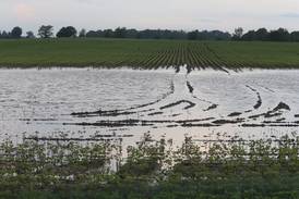 New Ag Climate Dashboard makes climate resources more accessible for Midwest farmers