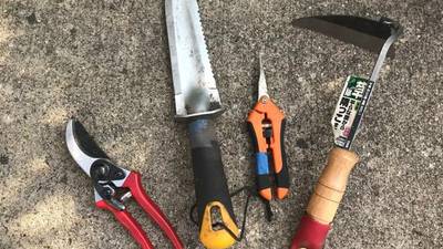 Calendar: Sharpen and grow: Garden tool maintenance