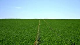 Survey finds 20% increase in farmland values