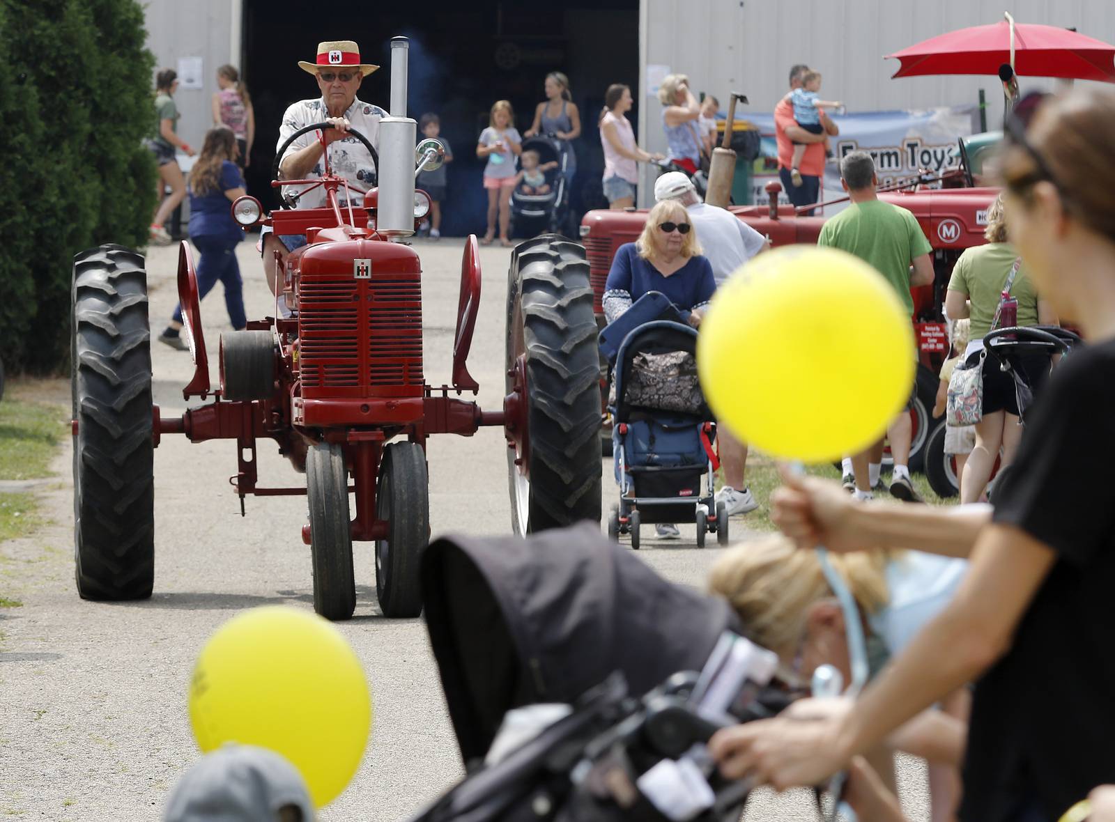 Alpacas added to show at McHenry County Fair AgriNews