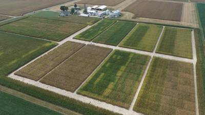 Gene-edited soil bacteria could provide third source of nitrogen for corn production