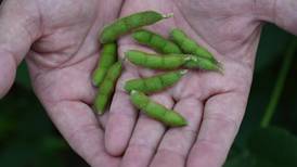 New dietary guidelines reinforce soy’s role in healthy diets