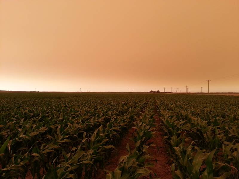Smoke fills the sky over fields as wildfires on the West Coast and in Canada affect the Midwest.