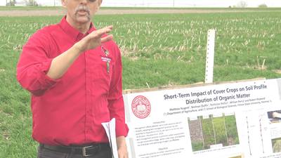 Trials document cover crop benefits in soil