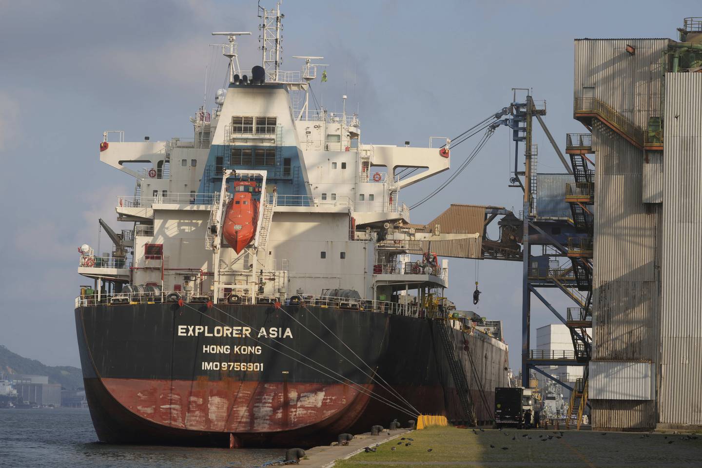 A container ship is loaded with soybeans in the port of Santos in Brazil.