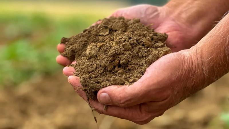 Diverse crop rotations are key to the long-term sustainability of soil resources.