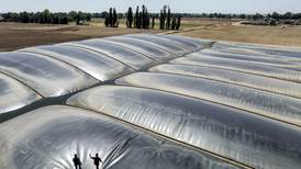 Environmental groups sue over California support for polluting biofuels