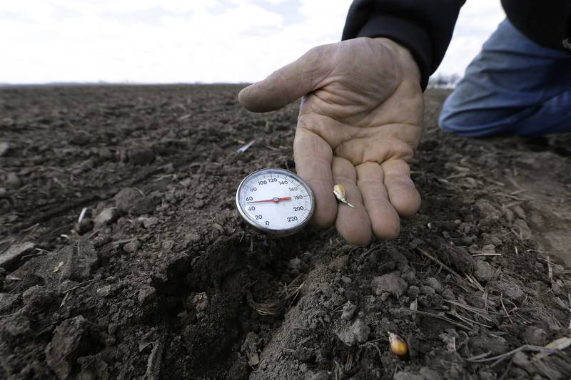 A corn and soybean farmer inspects the soil temperature and the sprouting of corn seeds planted earlier as a test near Auburn in central Illinois.