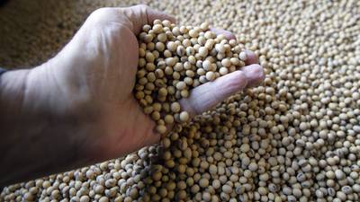 Slight hike in projected prices