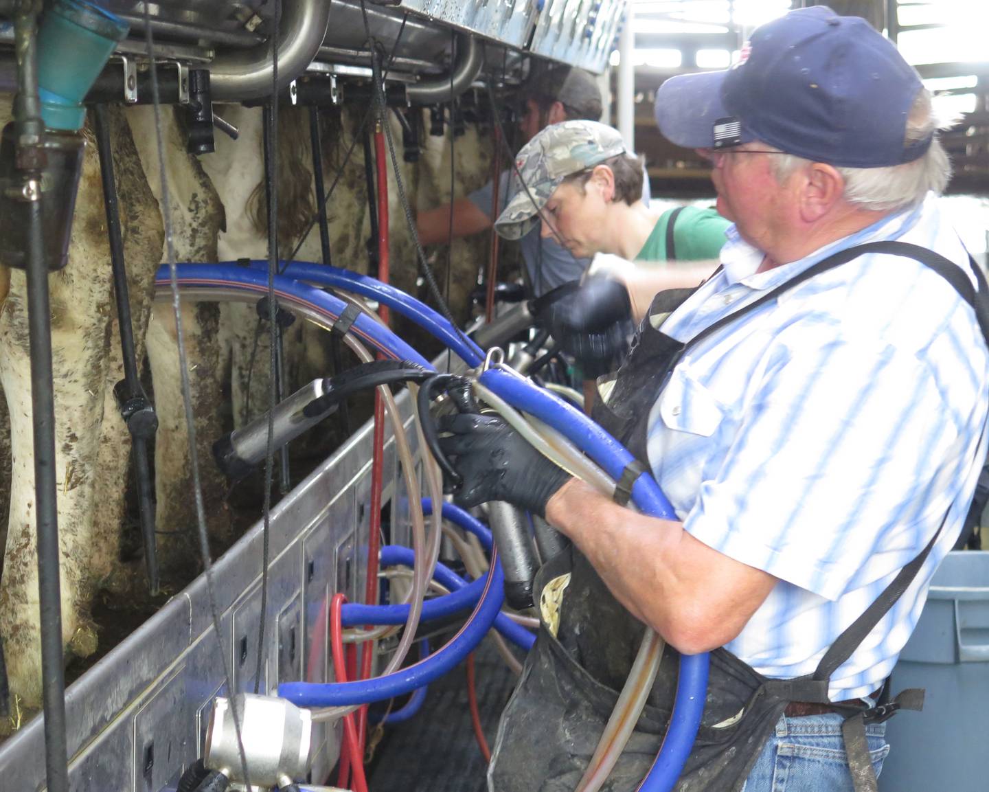 Leanne Casner and her father, Matthew Clavin, are teamed up for the 1:30 p.m. milking at Clavin Dairy Farm. Casner had her first experience milking at 7 years old. She returned to help operate the family farm after serving three years in the U.S. Army.