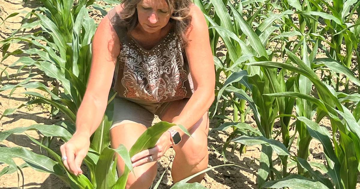 ‘My favorite time of year’