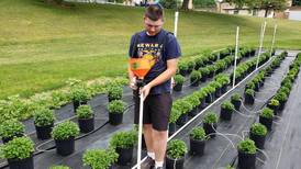 Newark FFA member named national finalist for American Star Farmer