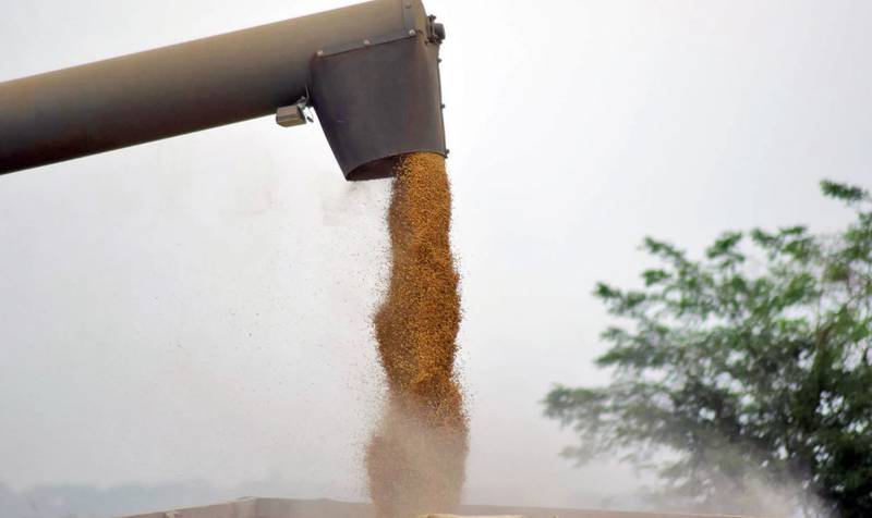 Crop insurance is an essential safety net for farmers.