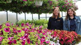 New opportunities: Ag-related topics added to curriculum