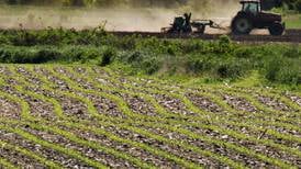 USDA rolls out new crop balance sheets
