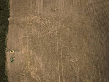 Plant 2025: ‘Tale of two Illinois’