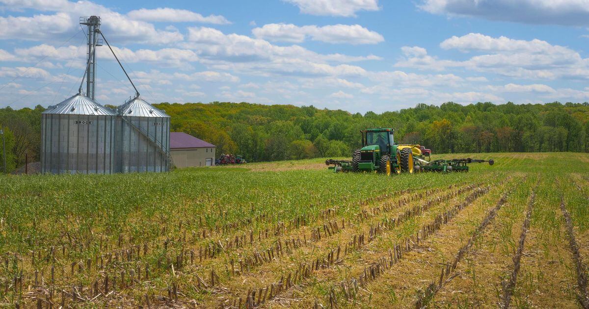 Crop insurance deadline looms AgriNews