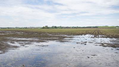 The AgriNews AgriMinute podcast: Farm bankruptcies continue to climb