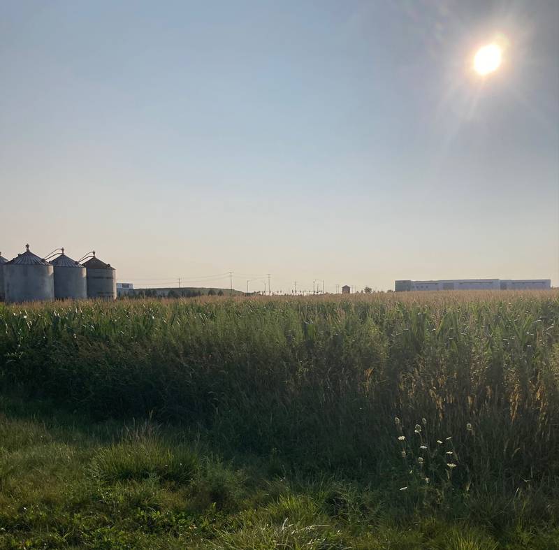 Indiana Crop  Progress