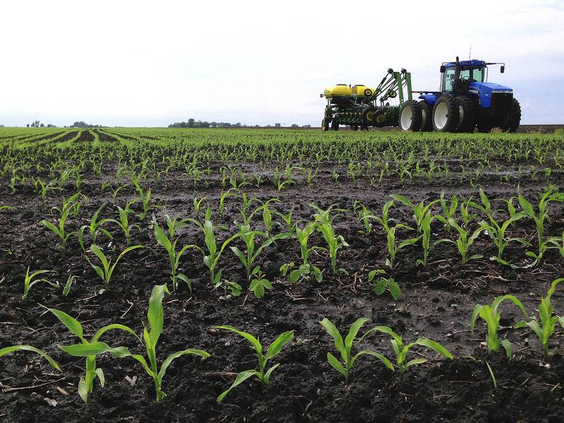 USDA releases first new crop predictions