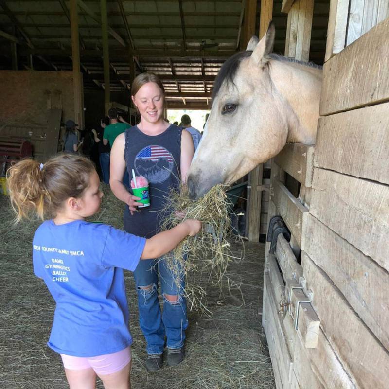 4-H members visit Horse Angels Inc. — a facility that rescues horses and gives horse riding lessons to 4-Hers.