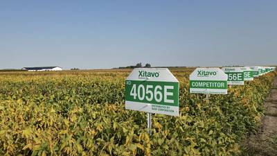 Soybean breeding site in the heart of farm country