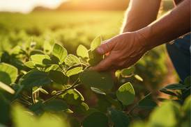 BASF announces EPA approval of Zorina fungicide