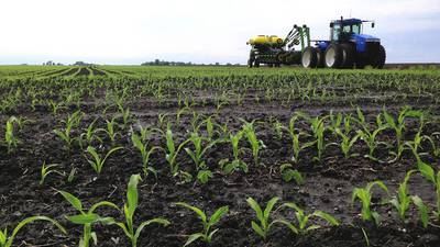 USDA releases first new crop predictions