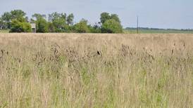 CRP acreage tops 1 million 