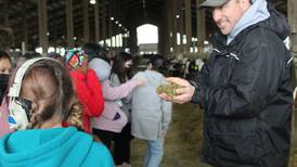 A Year in the Life of a Farmer: Students meet calves, tour barns, learn about milk