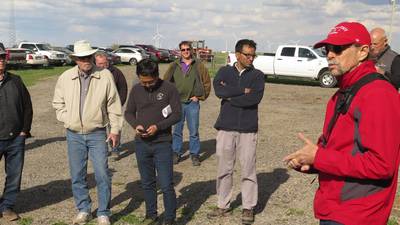 Cover crop trials include N, P efficiency