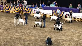 Champions crowned at State Fair
