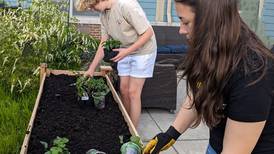 Lake County 4-Hers give back to community