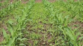 Gain an early season edge for success at harvest