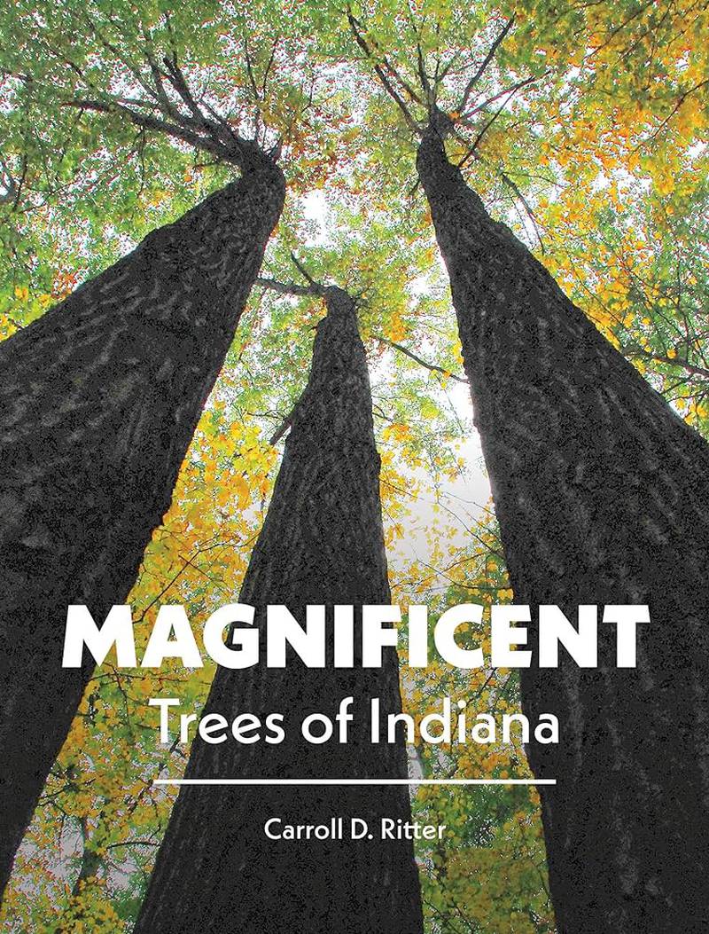 “Magnificent Trees of Indiana” is a full-color coffee table book featuring photographs, facts and observations about nature in Indiana.