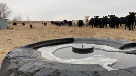 Weather the freeze: 3 tips to ensure cattle have winter water access