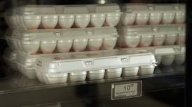Calculating the price of eggs