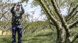 Kentucky orchards survive April cold snap