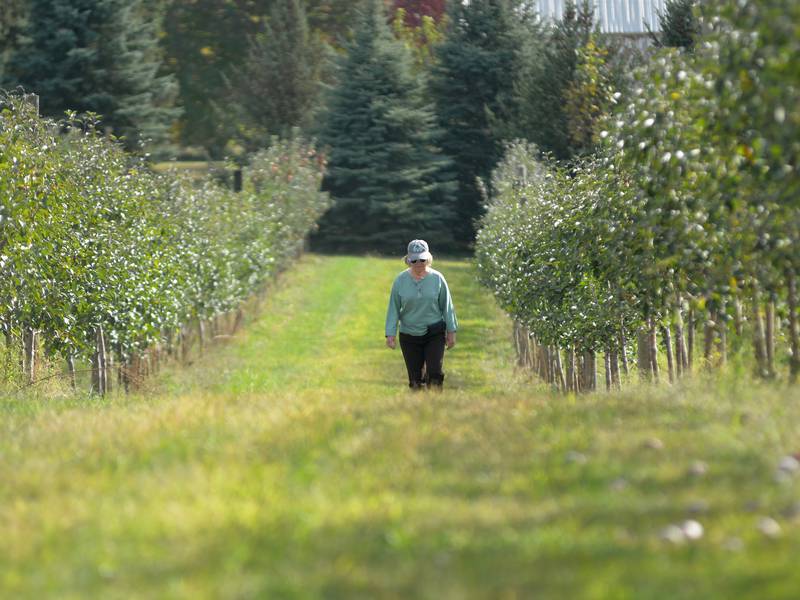 The AgriNews AgriMinute podcast: Can farmers break even this year?