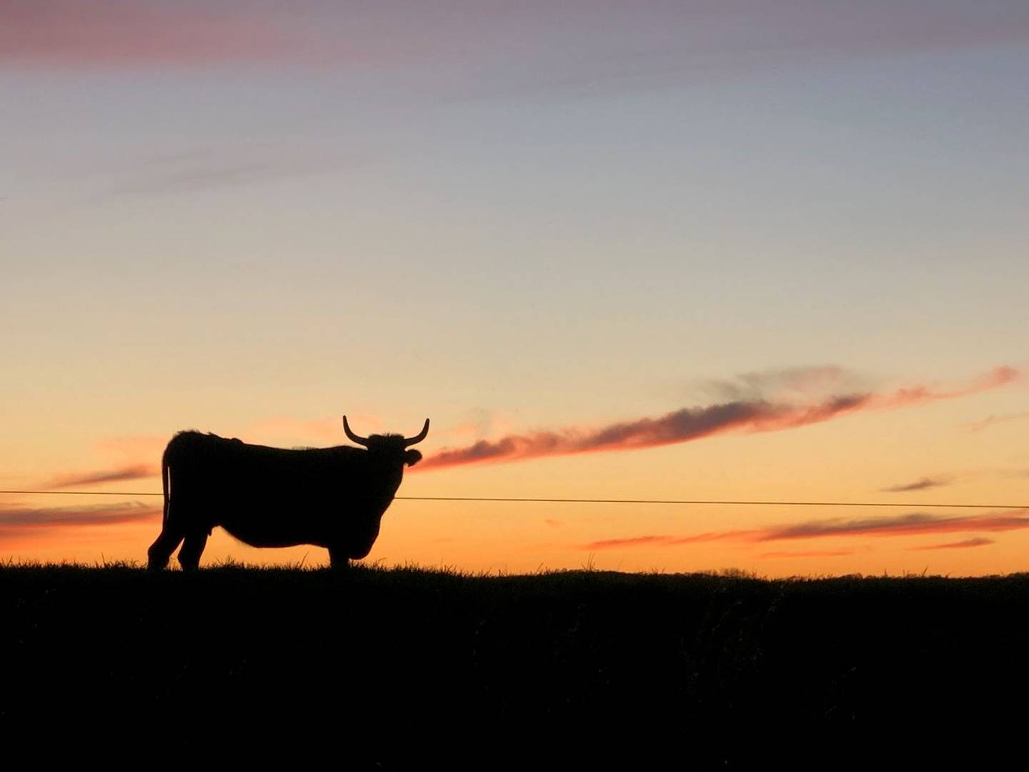 “Sunset on the Farm” — Kenzie Dillow: “Southern Illinois.”