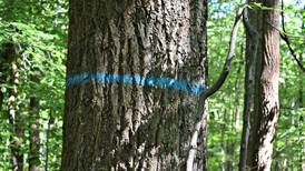 19 Indiana wood manufacturers recognized on national list
