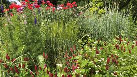 ‘Foodscaping’ slips vegetables in among the flowers for visual appeal in the garden