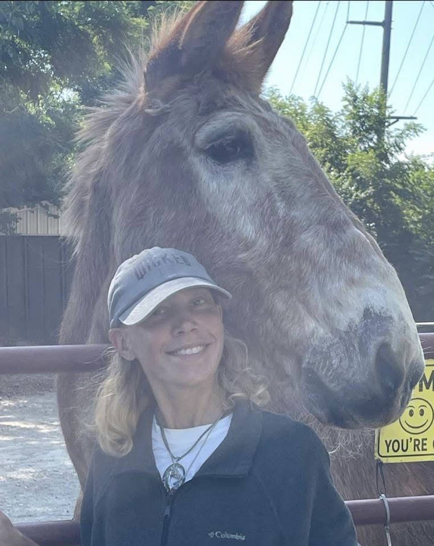 “Moe the Mule” — Megan Spicer: “Moe the Mule.”