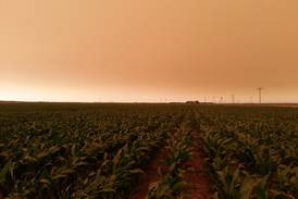 Wildfire smoke affects Midwest crops