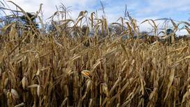 E15: Fueling energy security and farm viability